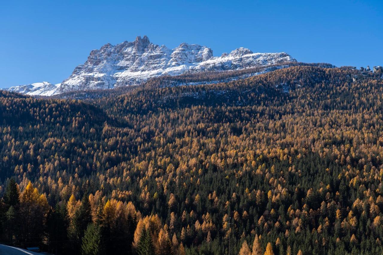Rosapetra SPA Resort Cortina dʼAmpezzo Esterno foto